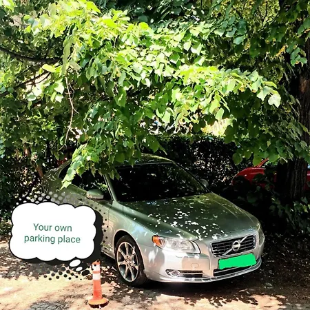 公寓 Balkanic Star *